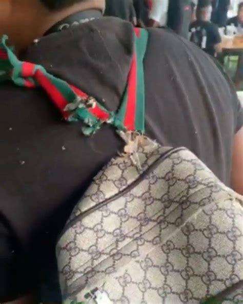 gucci bag meme